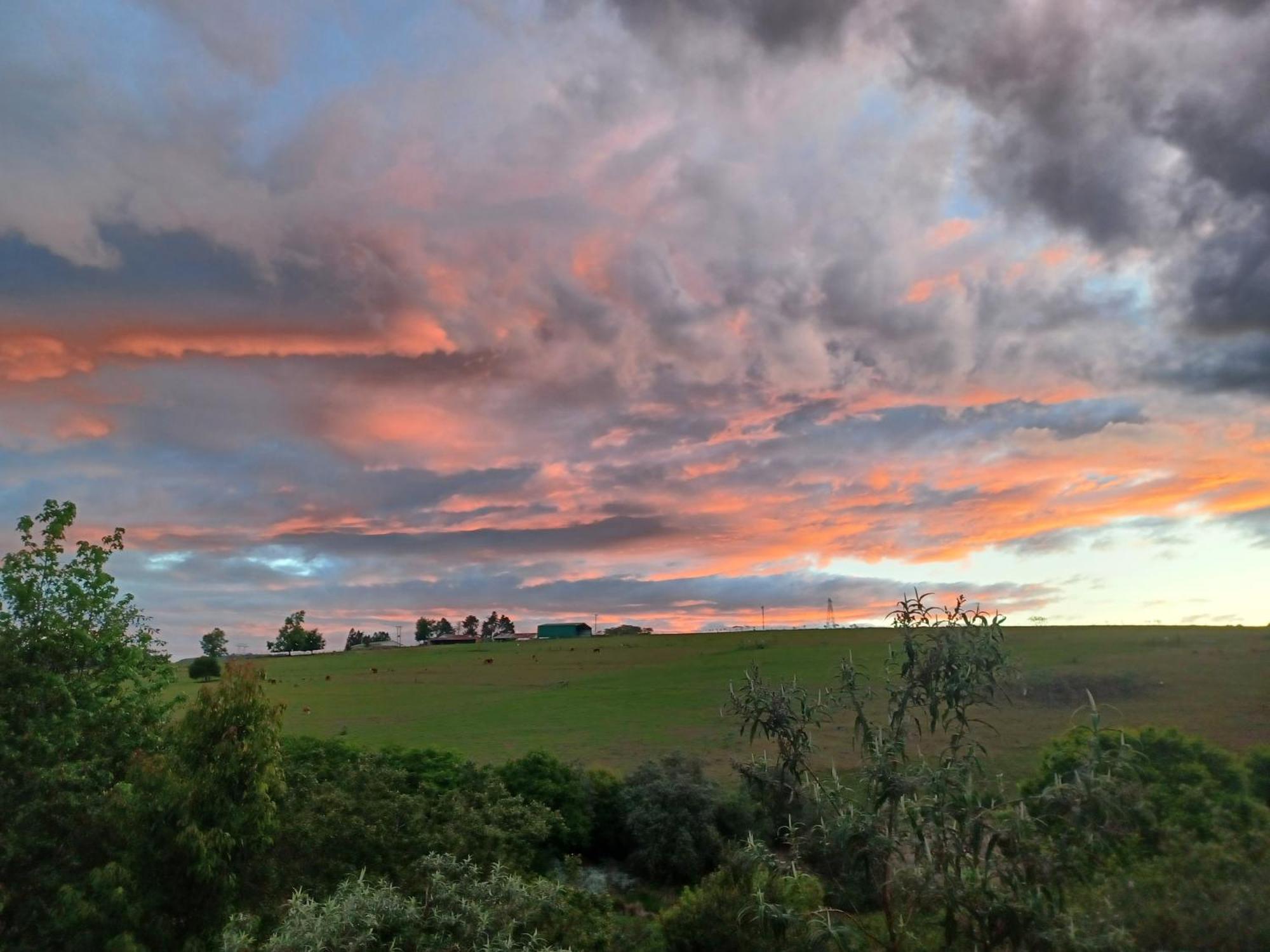 Little Fields Country House And Cottages Howick Bagian luar foto