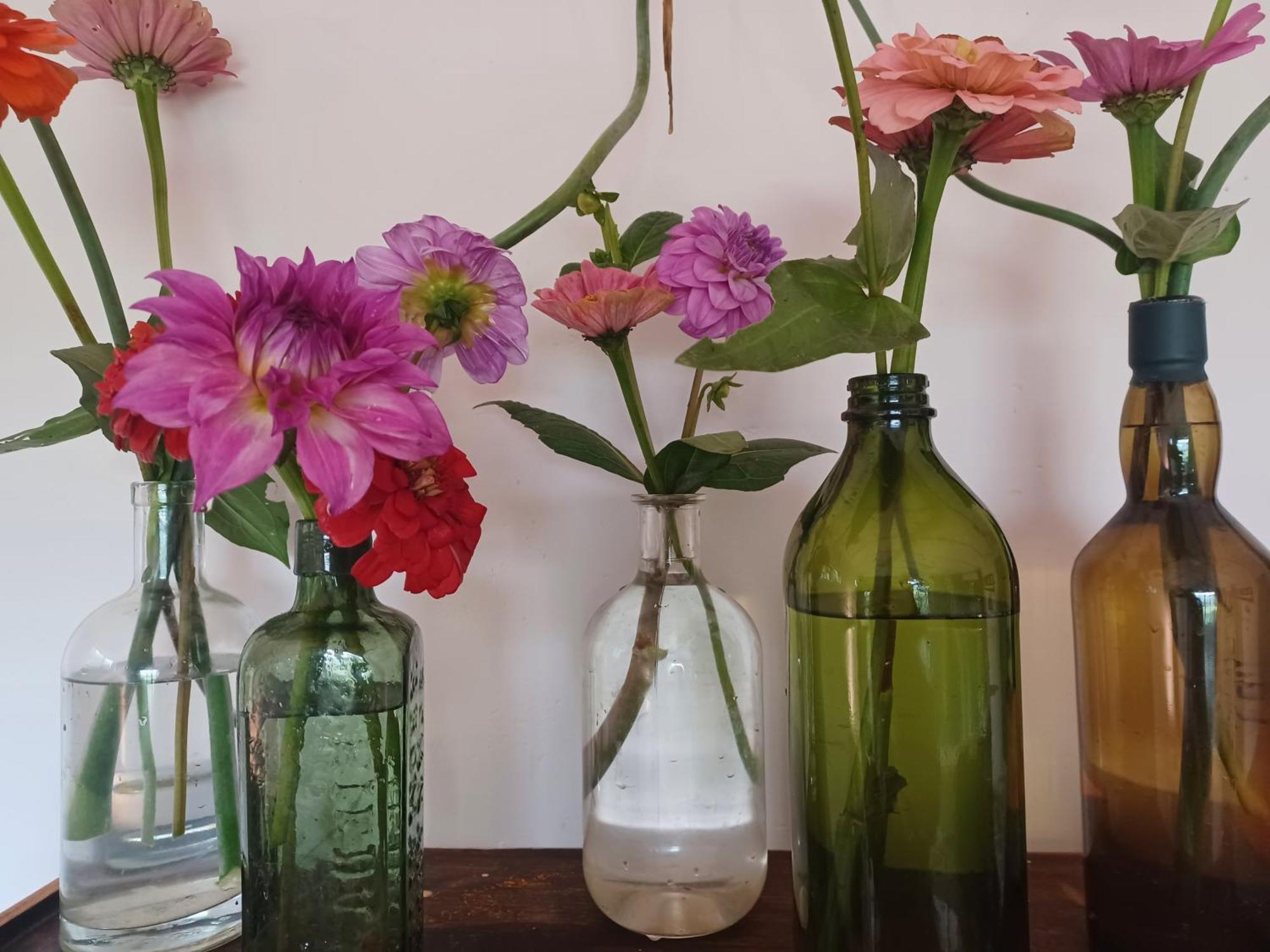 Little Fields Country House And Cottages Howick Bagian luar foto