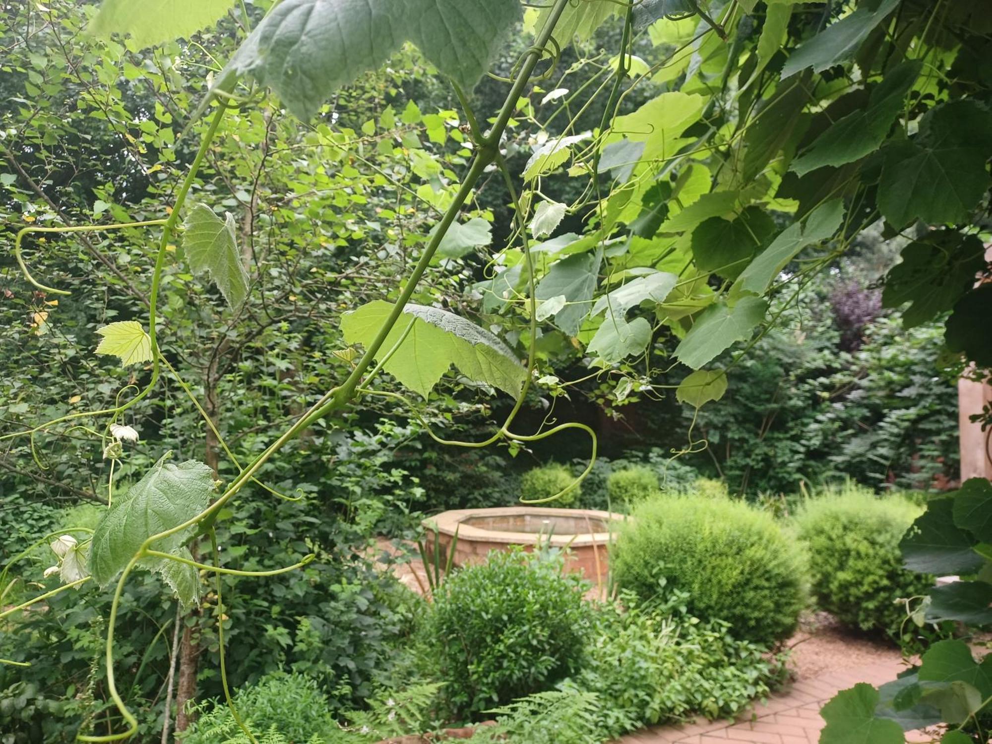 Little Fields Country House And Cottages Howick Bagian luar foto