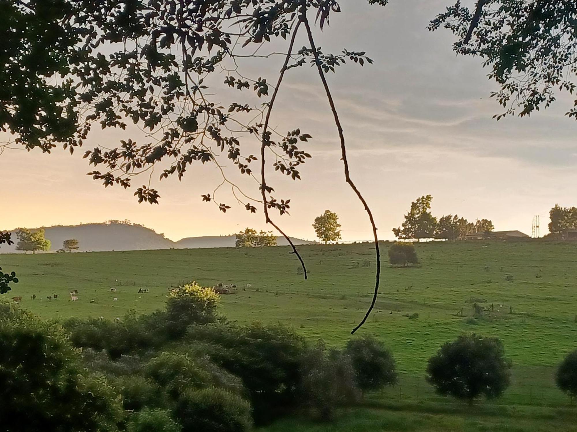 Little Fields Country House And Cottages Howick Bagian luar foto